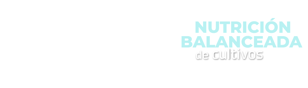 Diseño Nutrición Balanceada-03-1